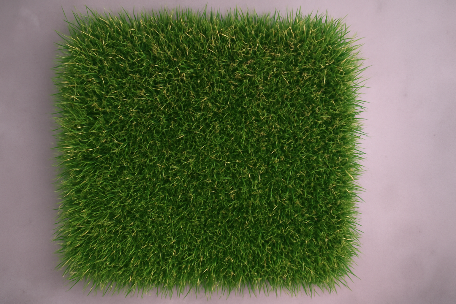 Synthetic Turf